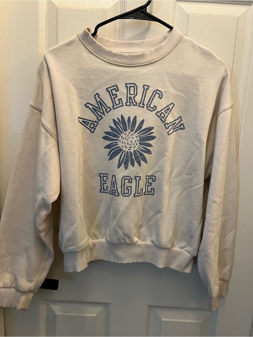 American Eagle Outfitters Cream Crewneck with Blue Floral Logo